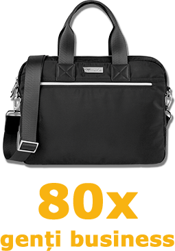 80 x genți business